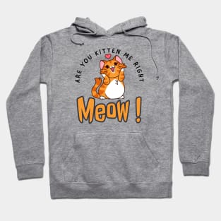 Are you kitten me right meow Hoodie